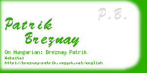 patrik breznay business card